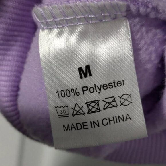 Unlicensed Taylor Swift Pullover Hoodie - Picture 2 of 3